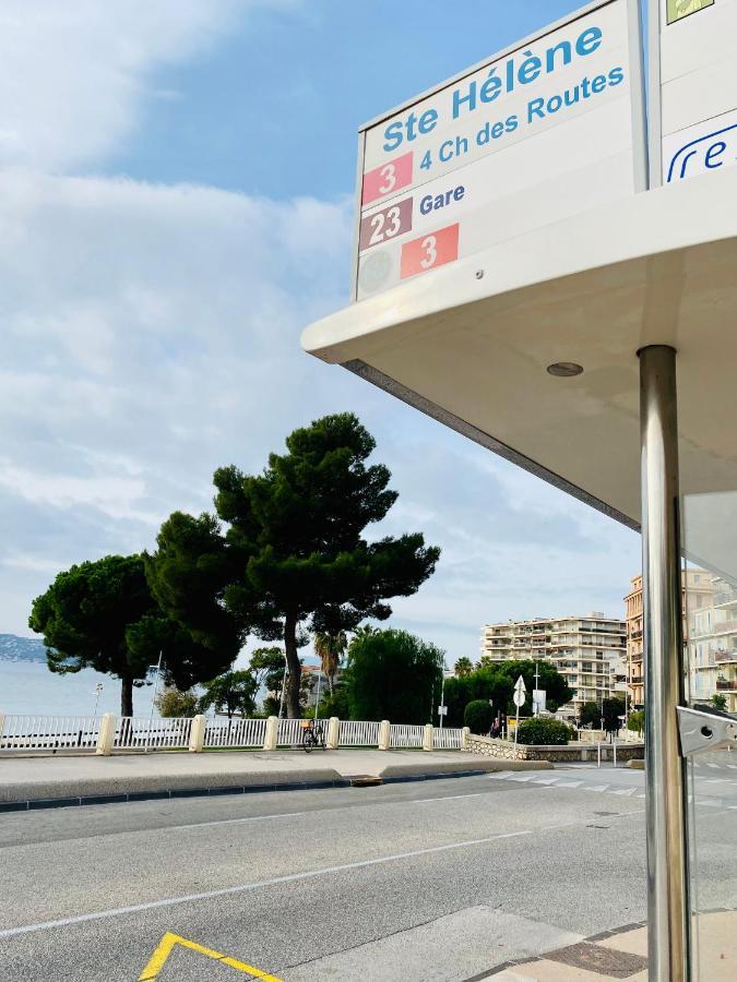 Studio Equipe-Climatise Avec Balcon Au Mourillon A 20M De La Plage تولون المظهر الخارجي الصورة